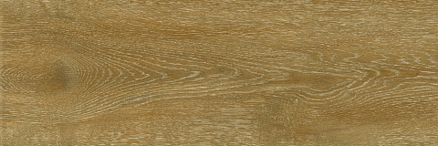 Керамический гранит VIENNA WOODS / ВЕНСКИЙ ЛЕС Natural 6064-0020 / 6264-0014 (LB Ceramics)